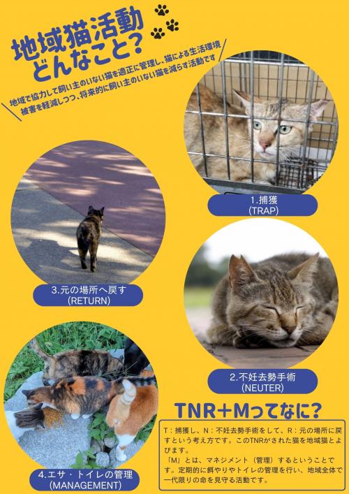 地域猫活動って？