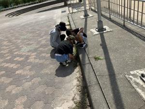 掲揚台