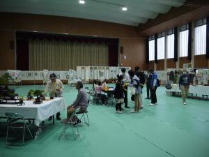 作品展示