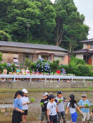 田植え③