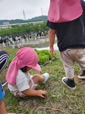 田植え⑤