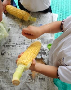 とうもろこし5