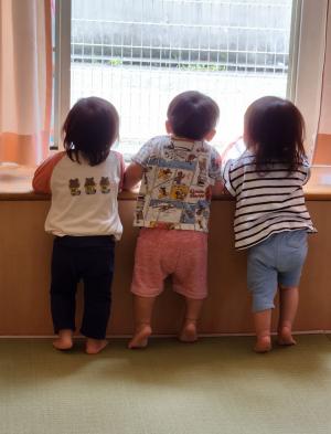 すみれ