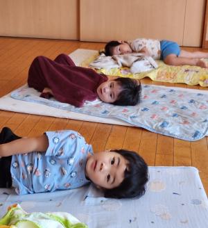 たんぽぽ
