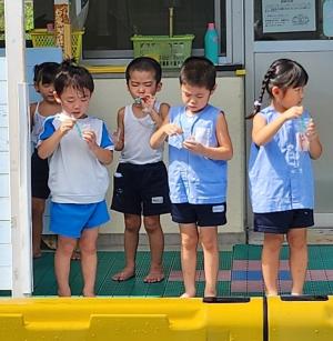 夏の遊び3