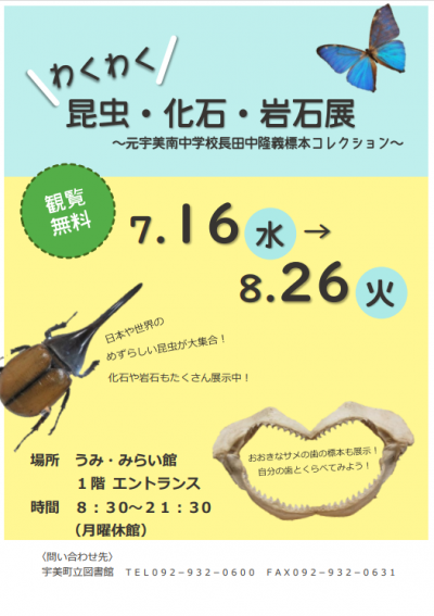 昆虫化石岩石展ポスター