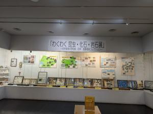 昆虫化石岩石展正面