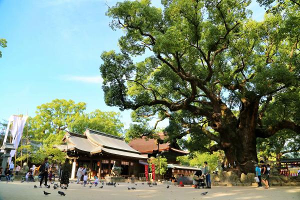宇美八幡宮