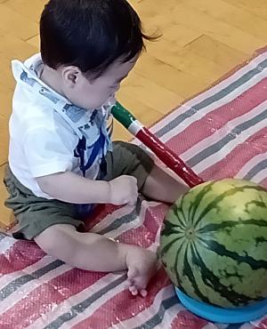 すみれ組すいかわり