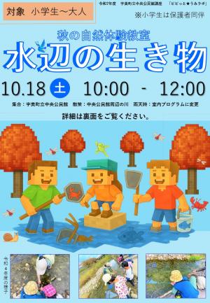 秋の自然体験教室　水辺の生き物　チラシ表
