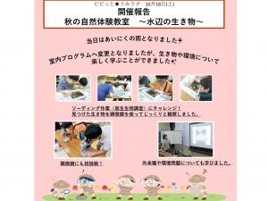 秋の自然体験教室　～水辺の生き物～報告　画像