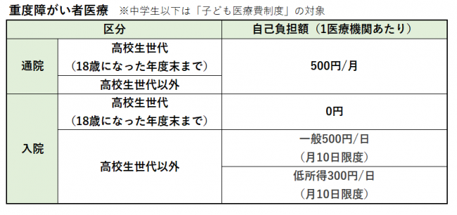 重度障がい者医療 自己負担額