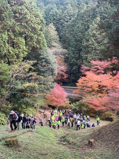令和7年度 共同事業 山の会 四王寺山 軽登山1