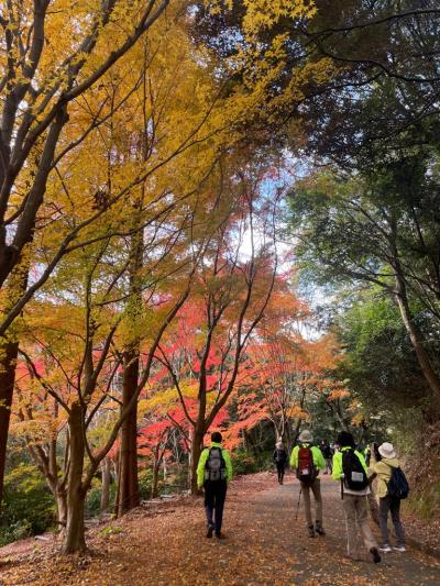 令和7年度 共同事業 山の会 四王寺山 軽登山2