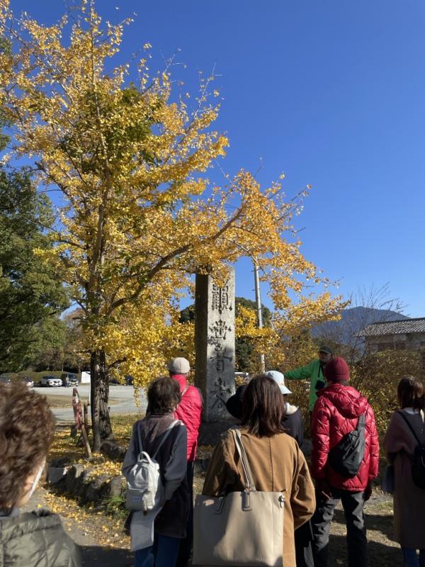 歴サポ第5回その2