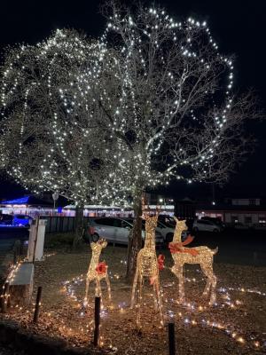 トナカイのイルミネーション