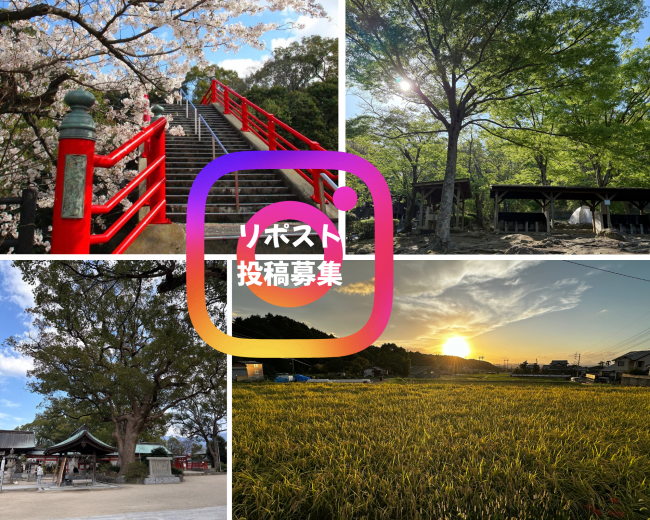 リポスト投稿募集画像