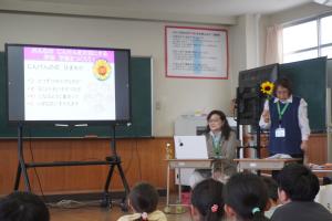 ひまわりの意味