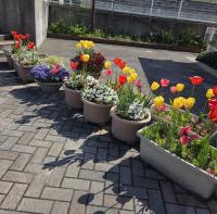 原田４月
