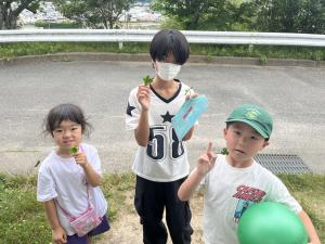 よつば