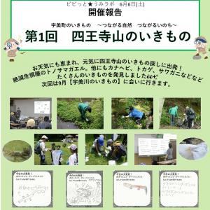 6月6日土曜日　講座報告　自然体験教室