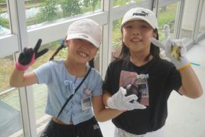 やさい