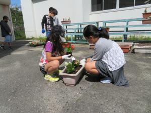 花の植え替え