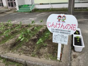 人権の花ひまわり