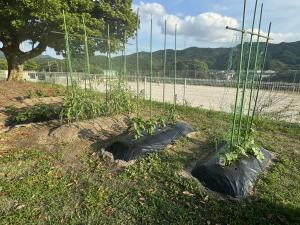 校長の部屋1