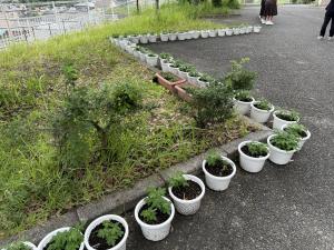 校長の部屋2