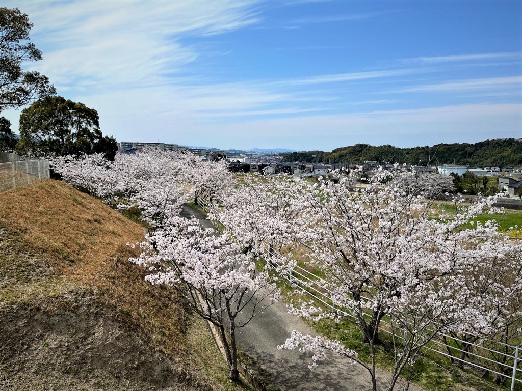 塔ノ尾(1)