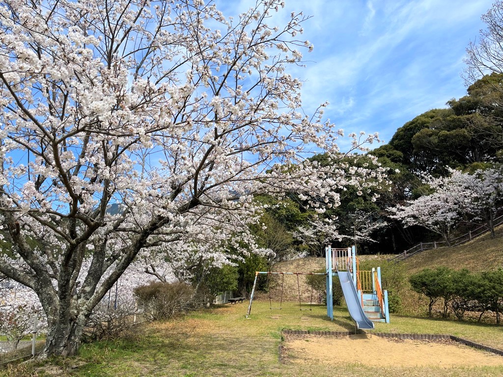 塔尾(2)