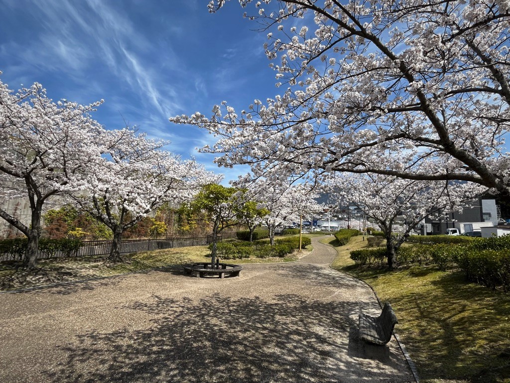緑道2
