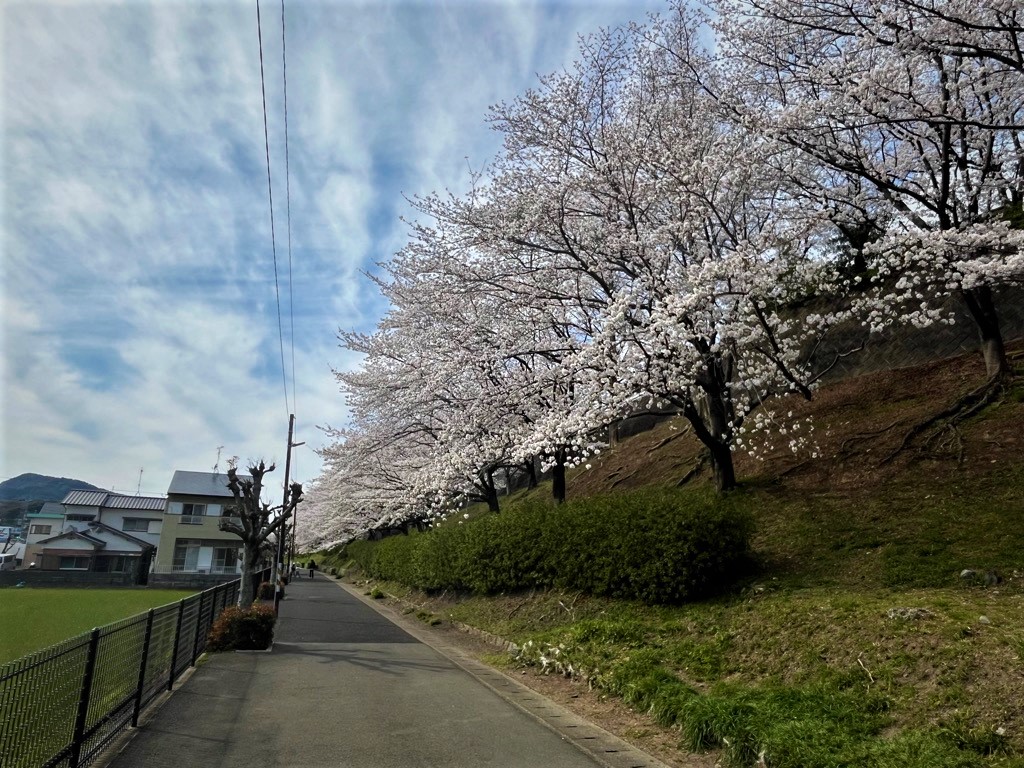 緑道3