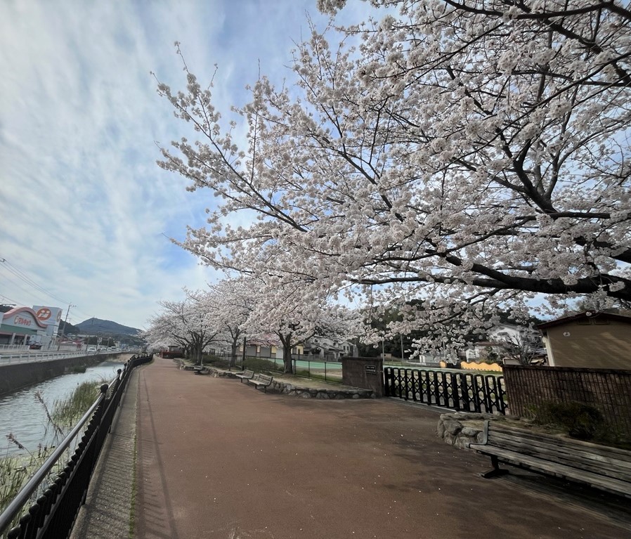 緑道4
