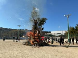 火が燃える様子